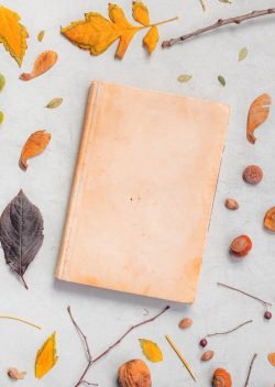 Vintage book cover mock up with autumn decoration